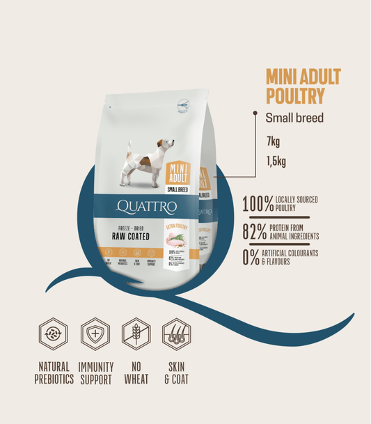 QUATTRO Maxi Adult su paukštiena sausas didelių veislių šunų pašaras
